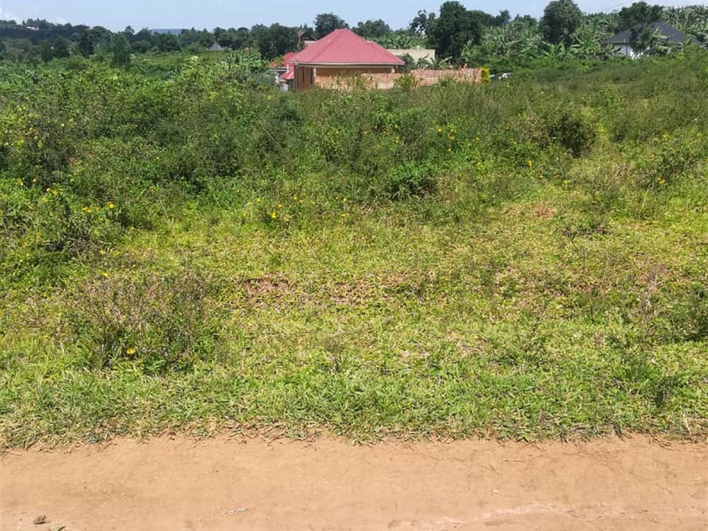 Residential Land for sale in Kabembe Mukono