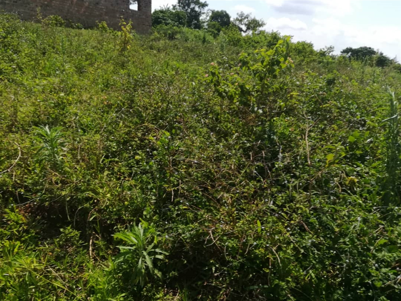 Residential Land for sale in Kabembe Mukono