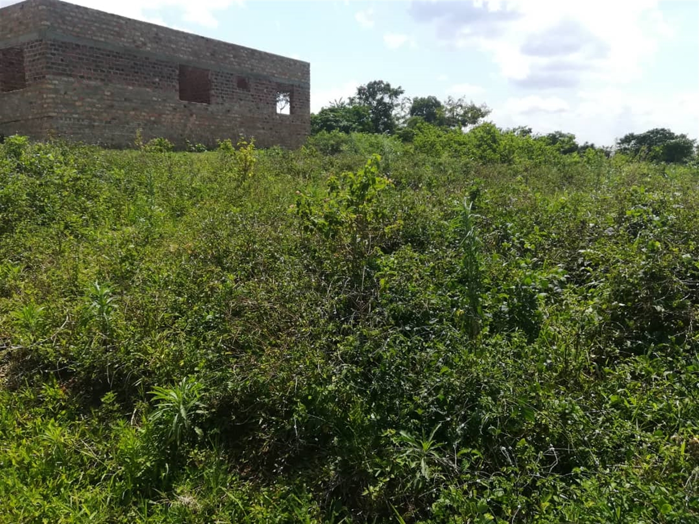 Residential Land for sale in Kabembe Mukono