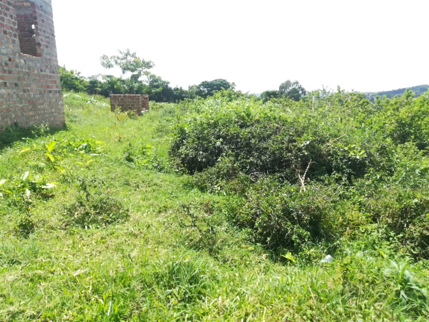 Residential Land for sale in Kabembe Mukono