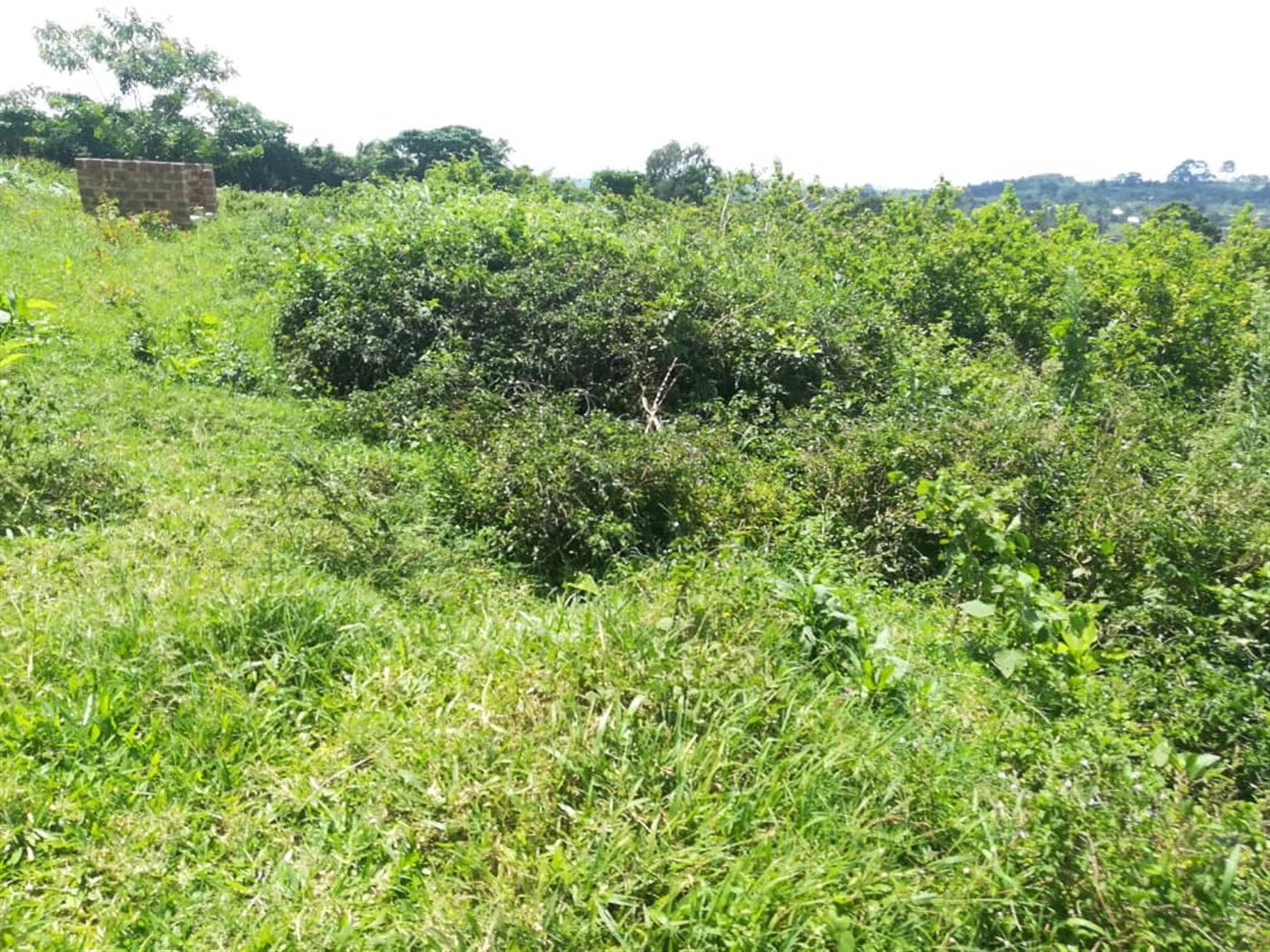 Residential Land for sale in Kabembe Mukono