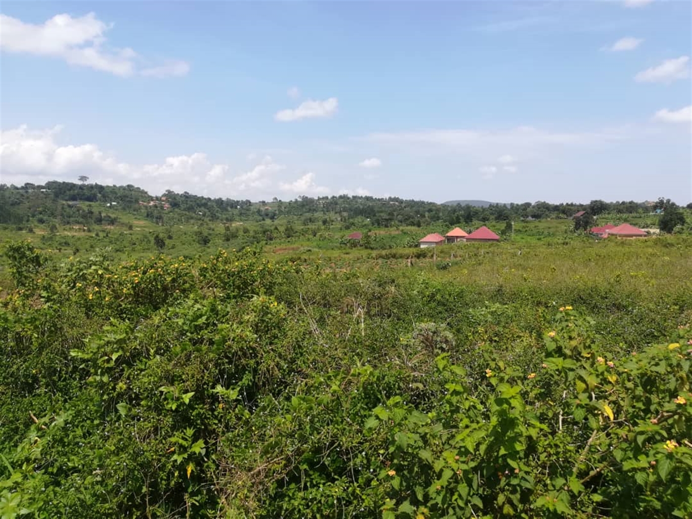 Residential Land for sale in Kabembe Mukono