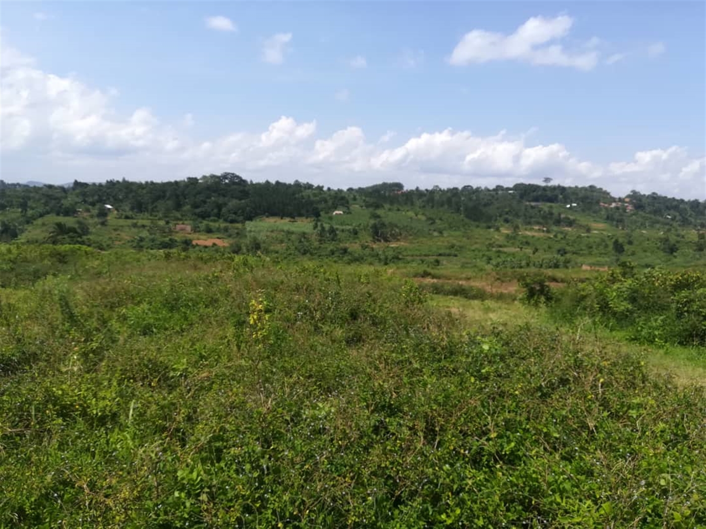 Residential Land for sale in Kabembe Mukono