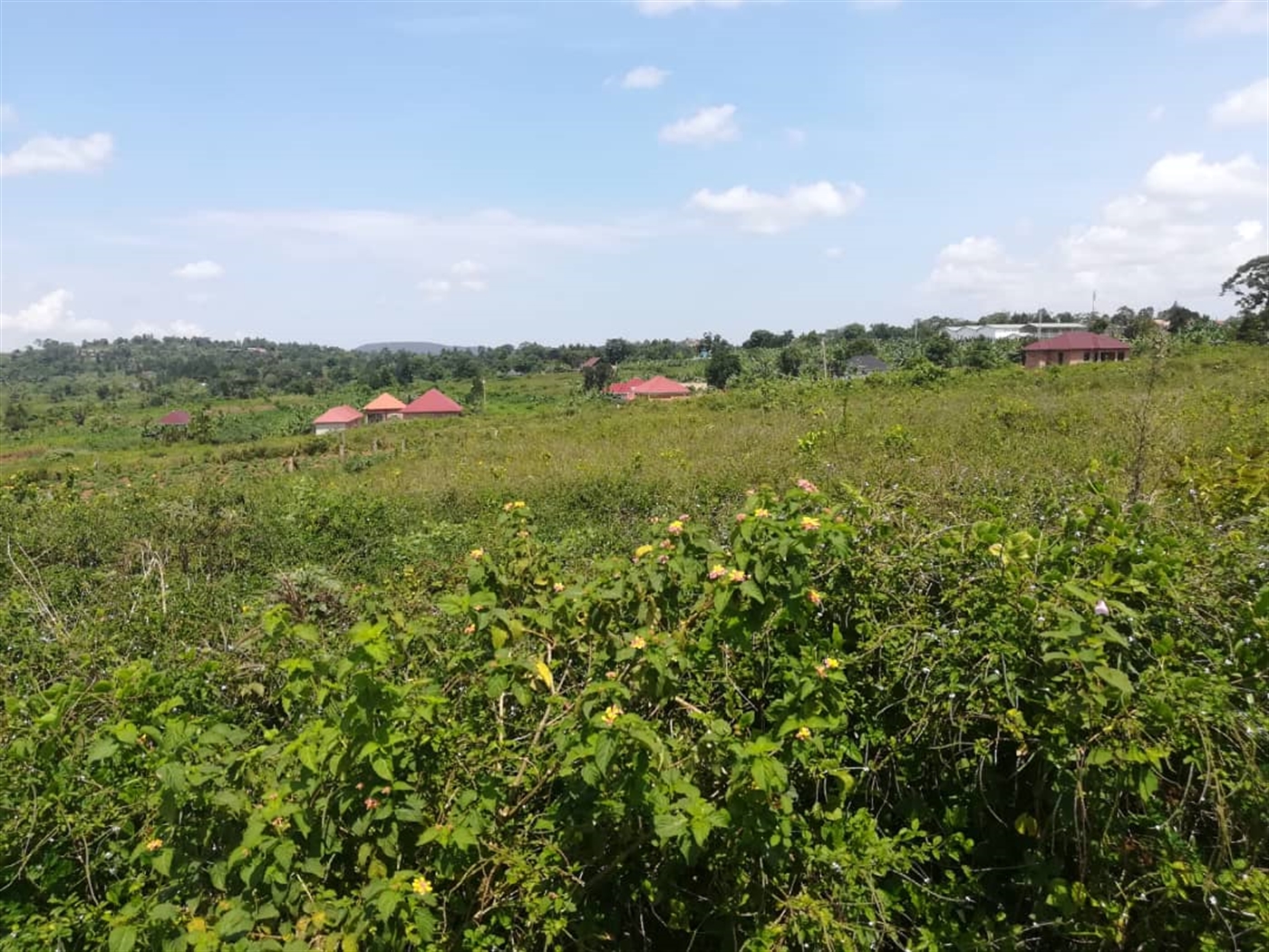 Residential Land for sale in Kabembe Mukono