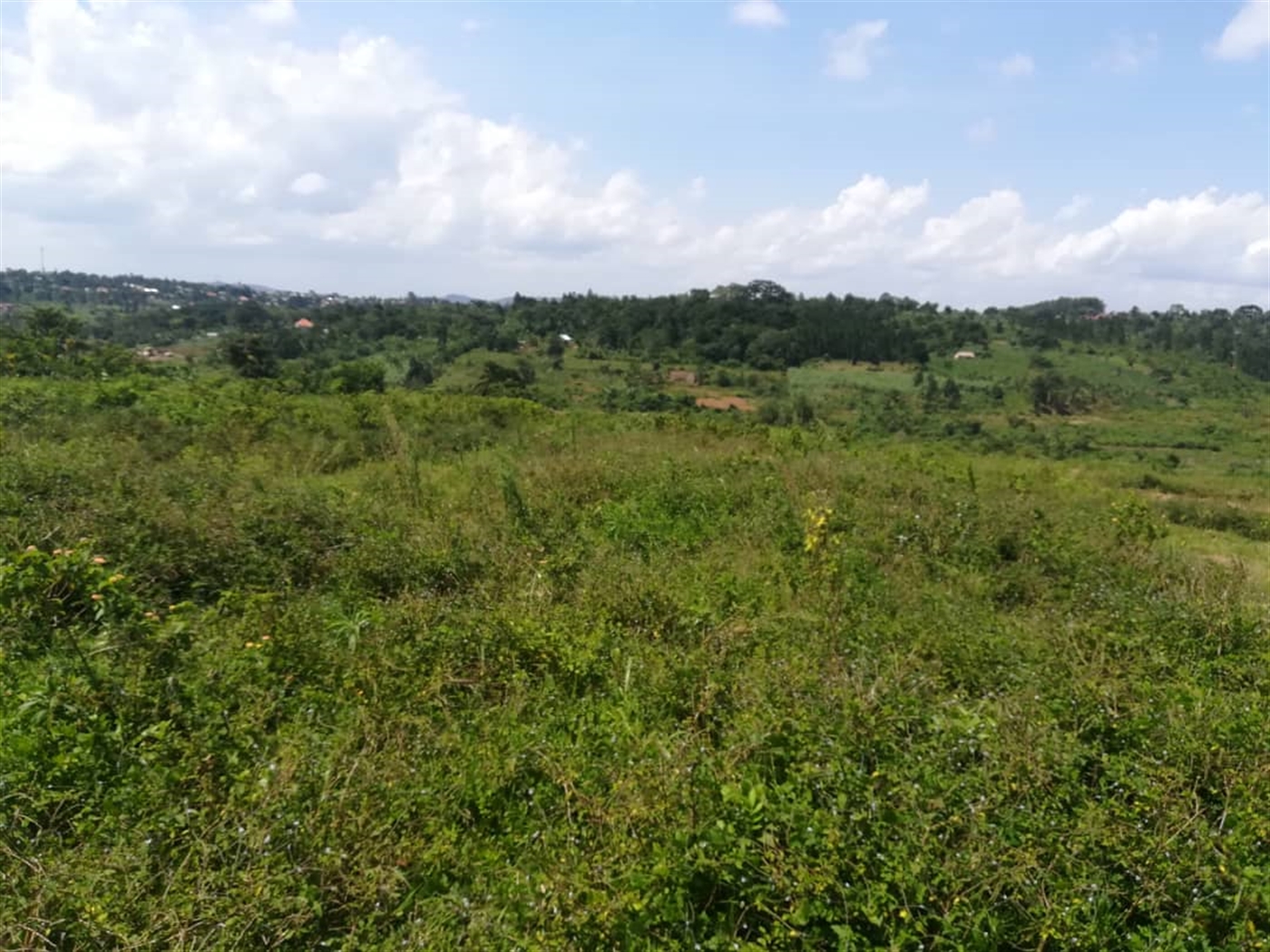 Residential Land for sale in Kabembe Mukono