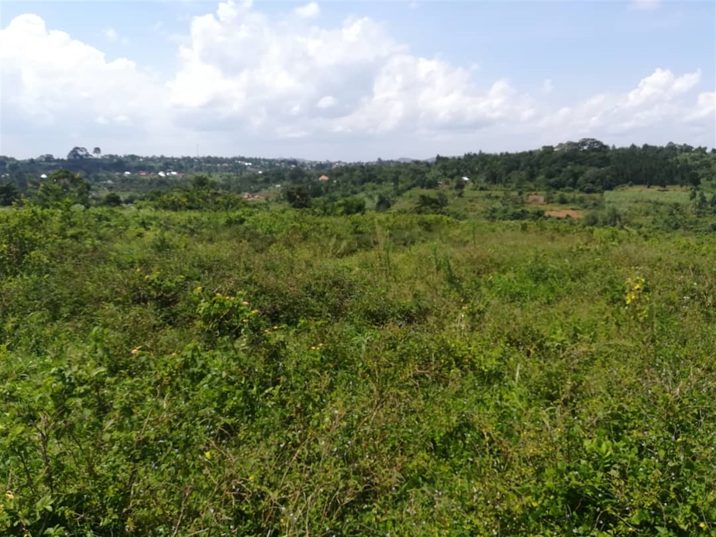 Residential Land for sale in Kabembe Mukono