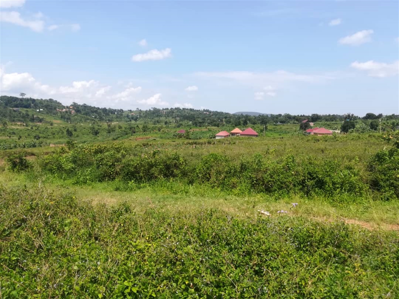 Residential Land for sale in Kabembe Mukono