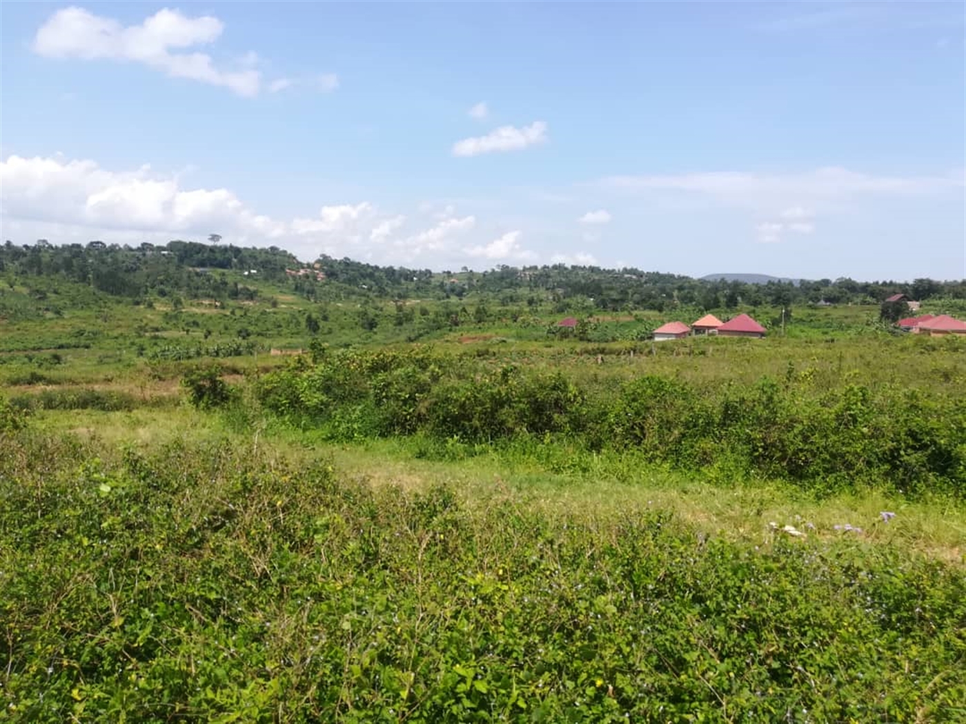 Residential Land for sale in Kabembe Mukono