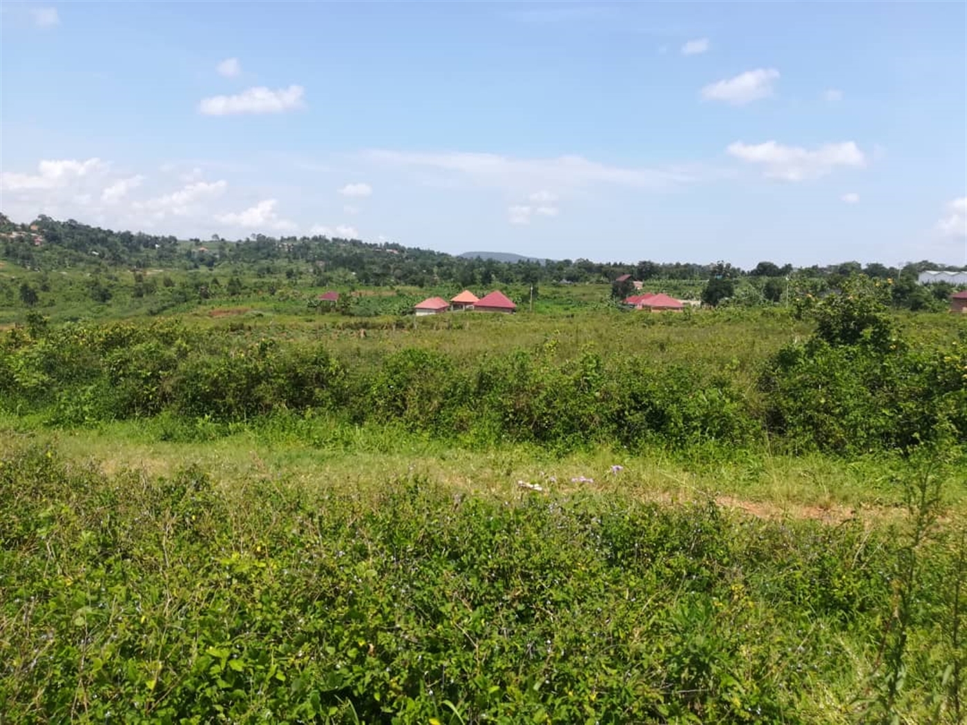 Residential Land for sale in Kabembe Mukono