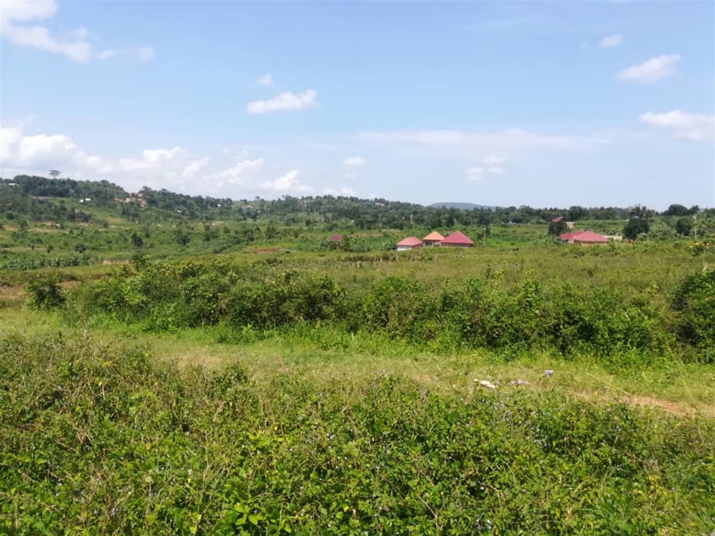 Residential Land for sale in Kabembe Mukono