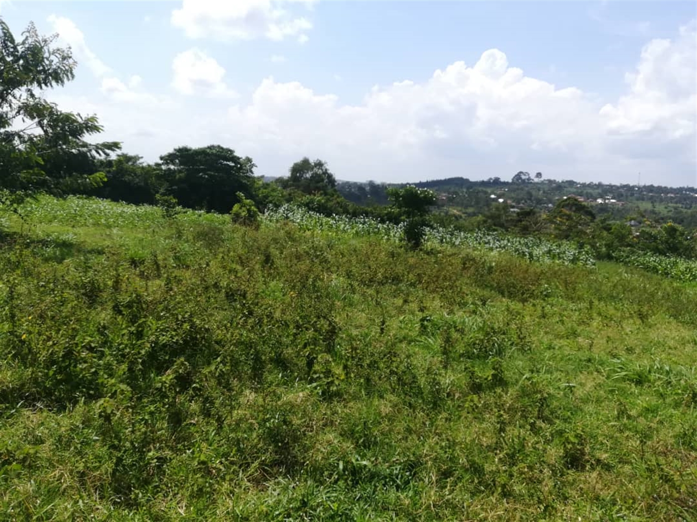 Residential Land for sale in Kabembe Mukono