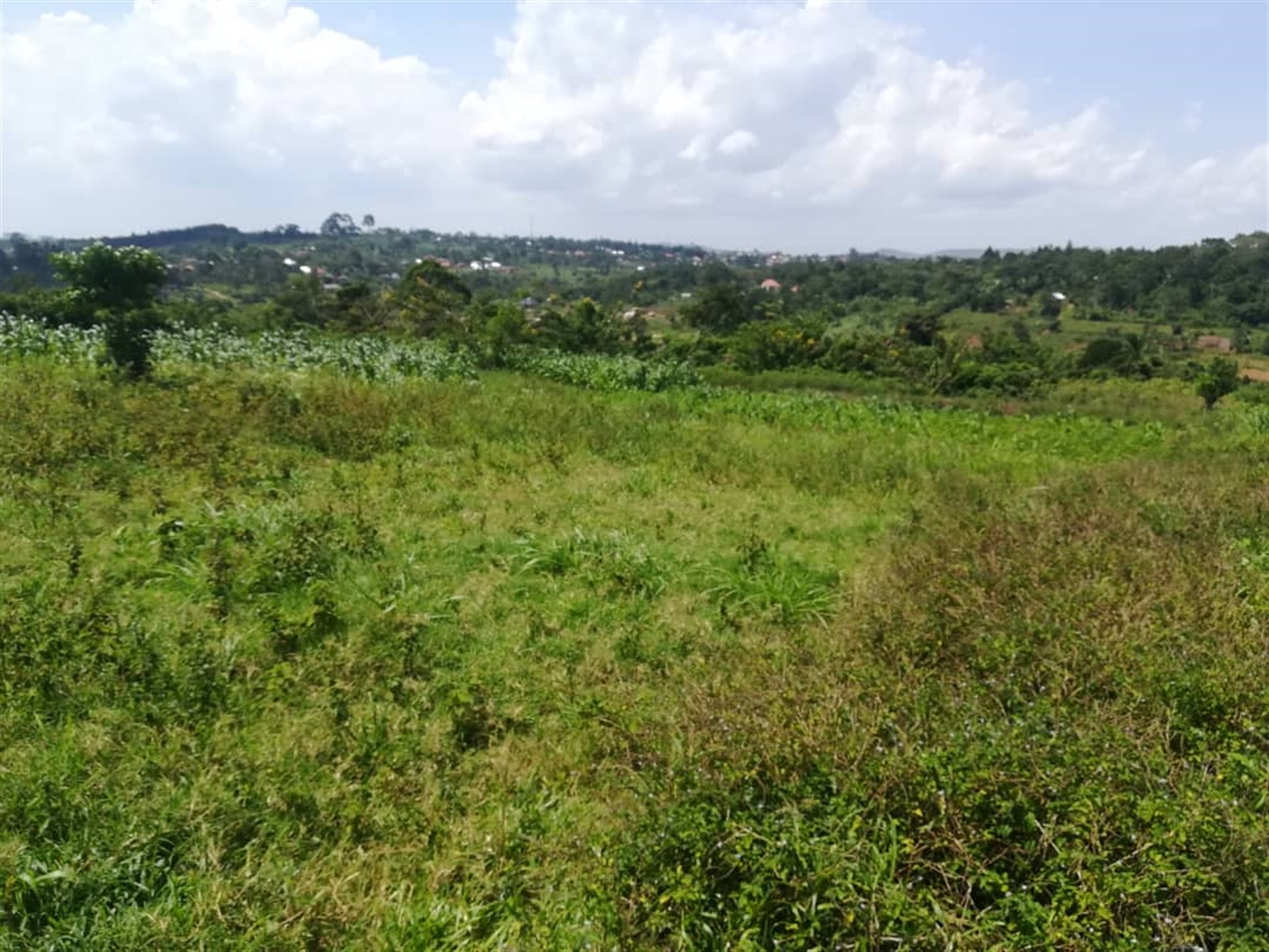 Residential Land for sale in Kabembe Mukono