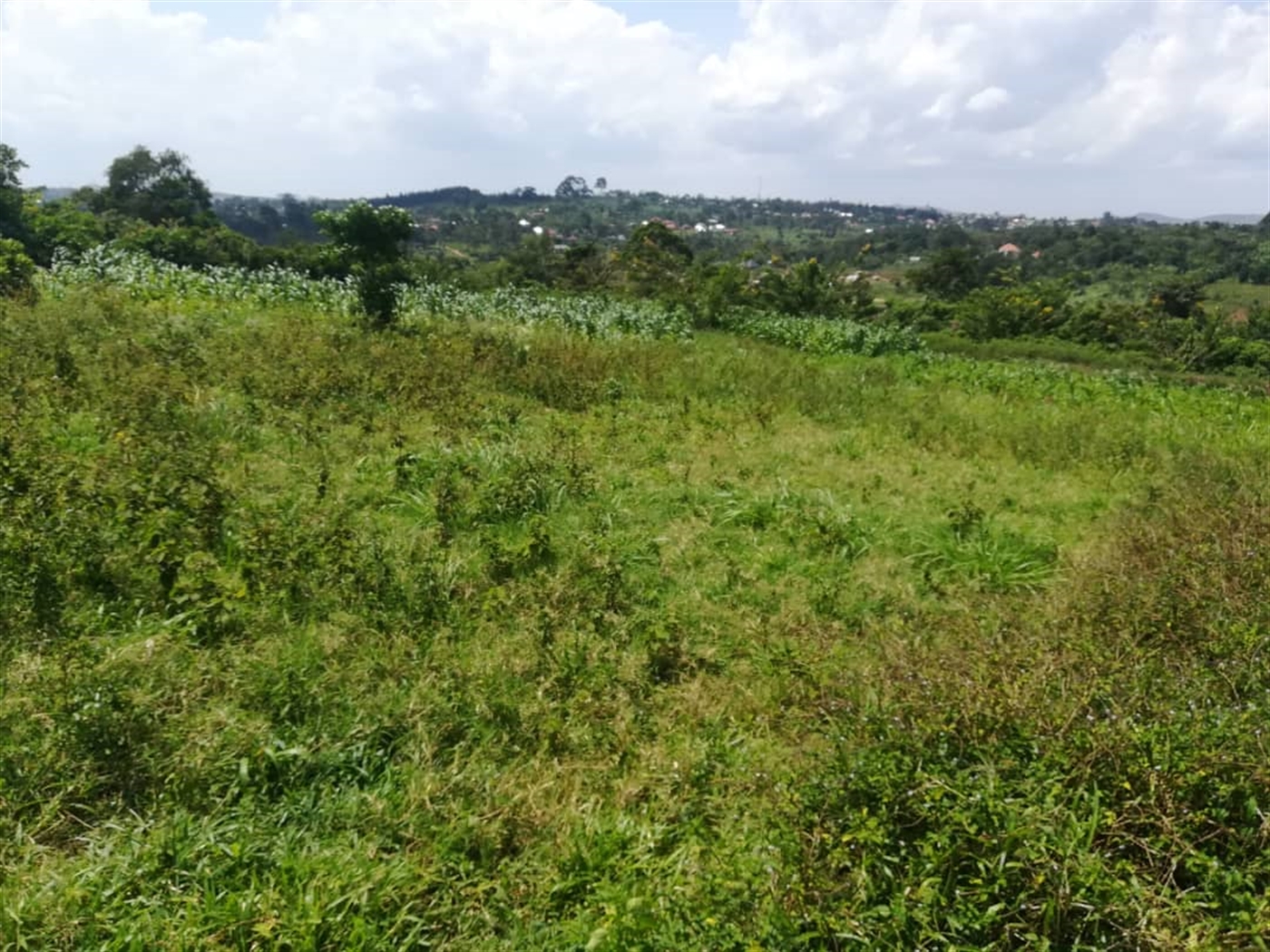 Residential Land for sale in Kabembe Mukono