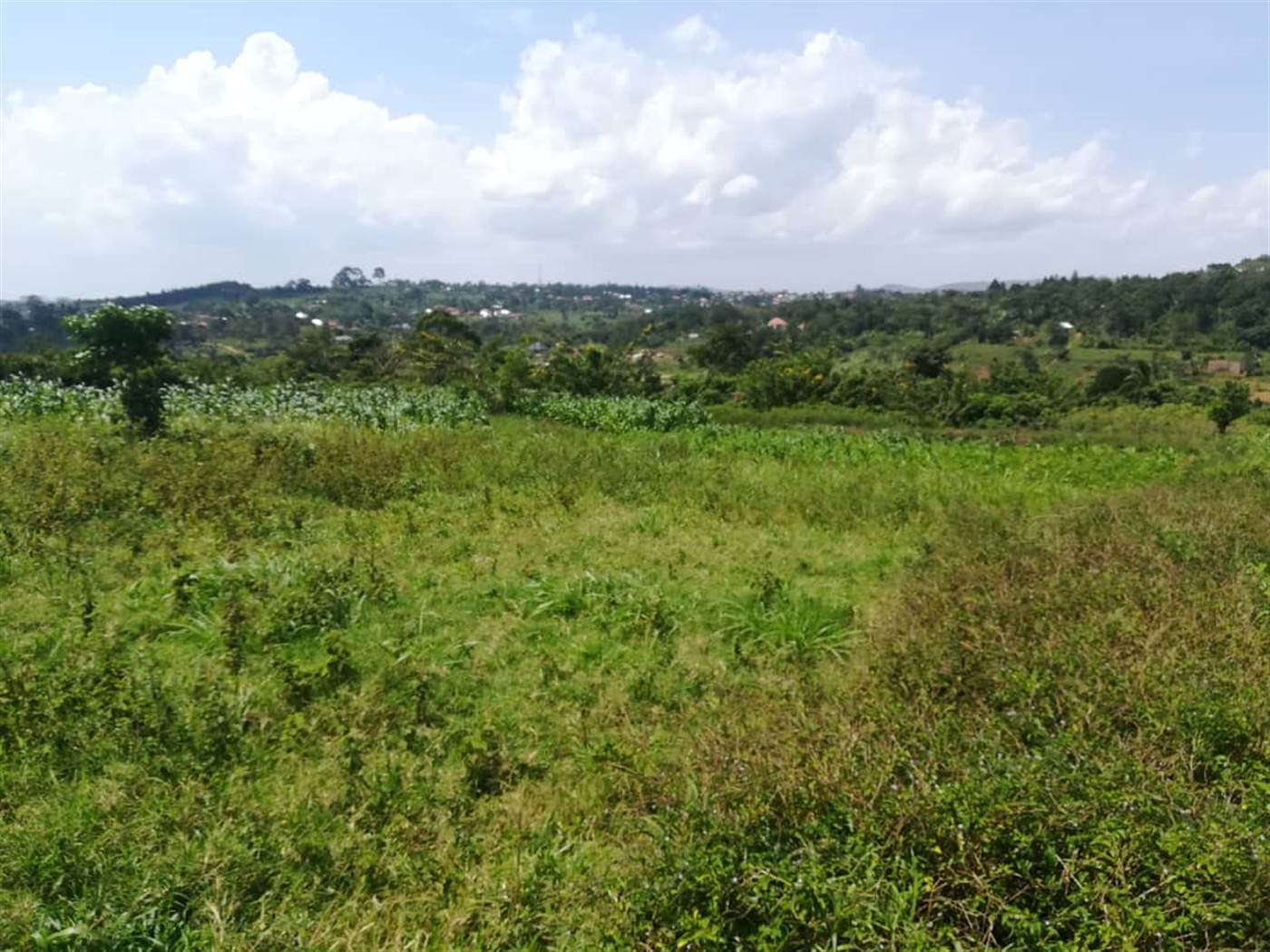 Residential Land for sale in Kabembe Mukono