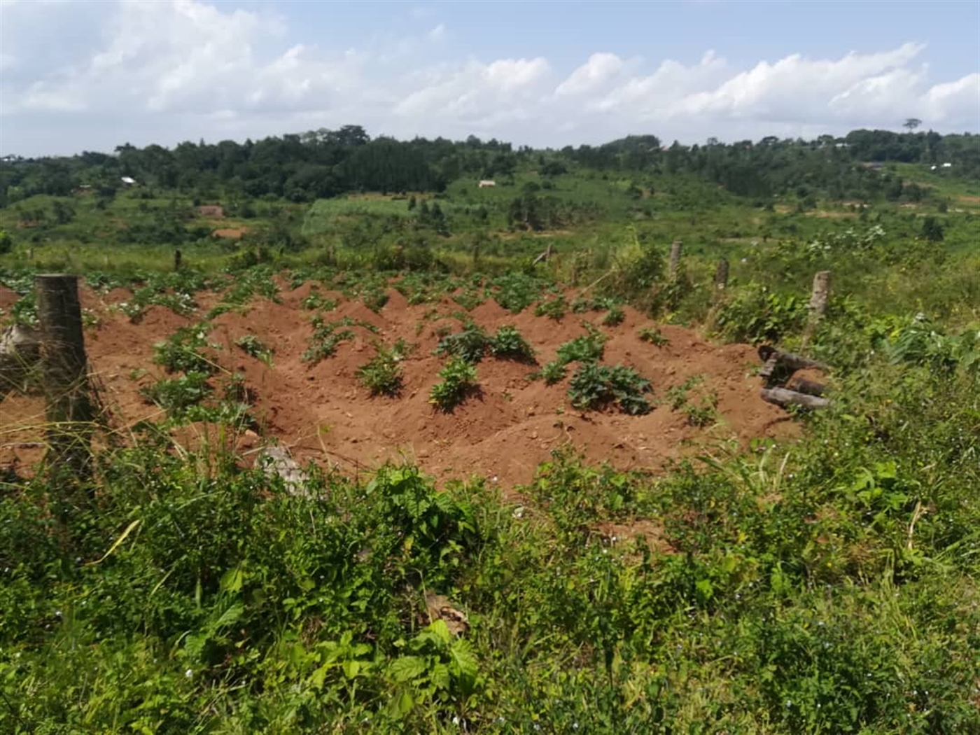 Residential Land for sale in Kabembe Mukono