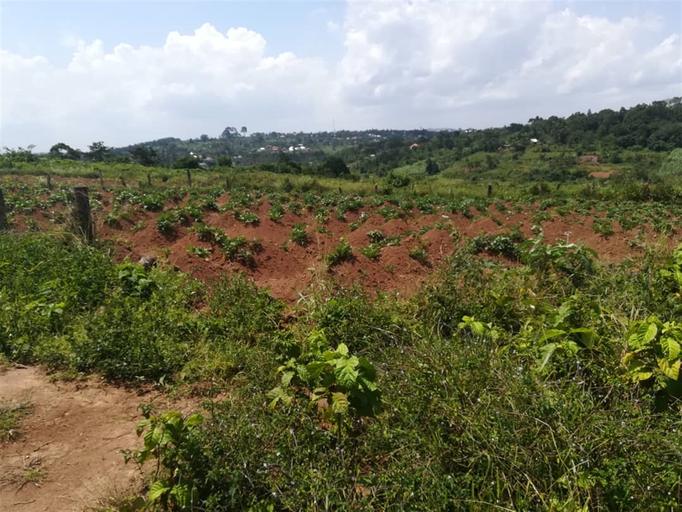 Residential Land for sale in Kabembe Mukono