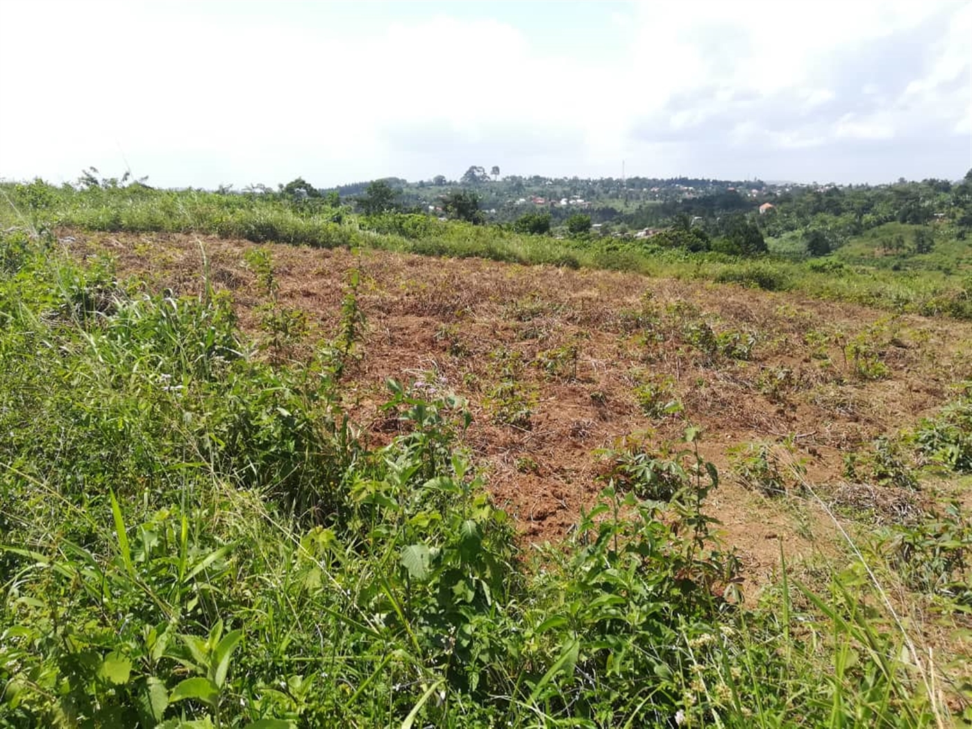 Residential Land for sale in Kabembe Mukono