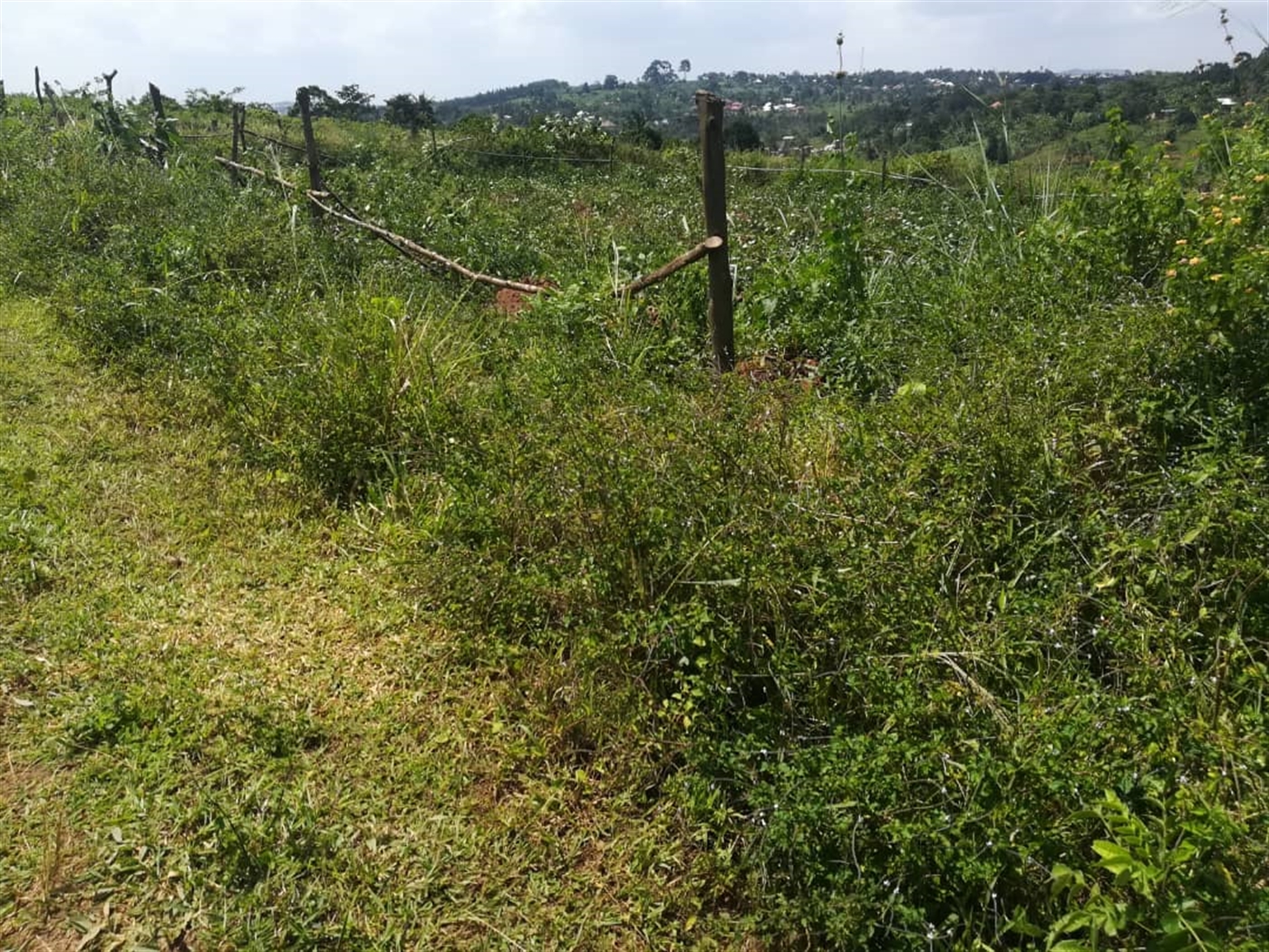 Residential Land for sale in Kabembe Mukono