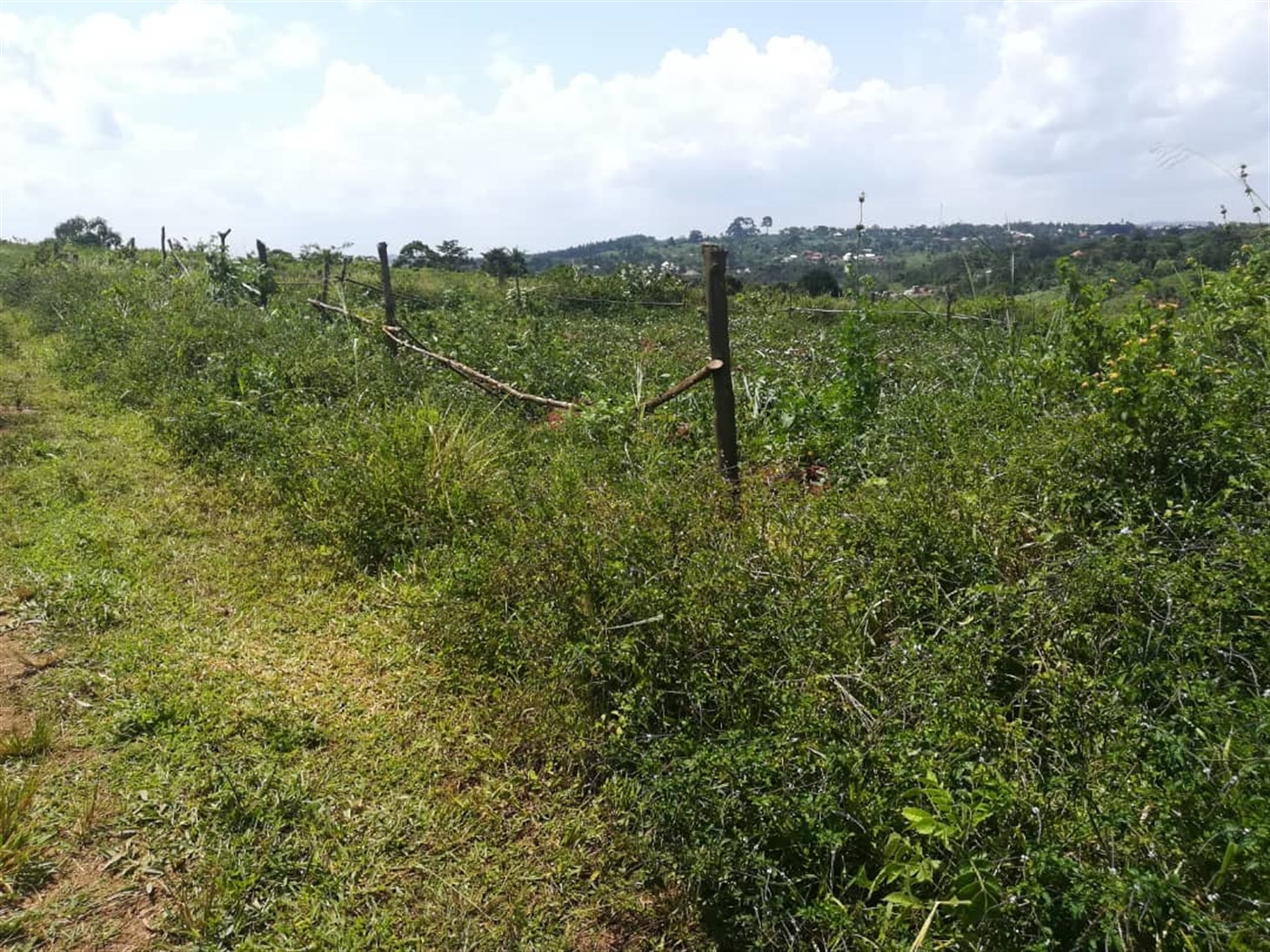 Residential Land for sale in Kabembe Mukono