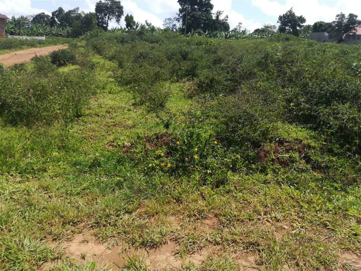 Residential Land for sale in Kabembe Mukono