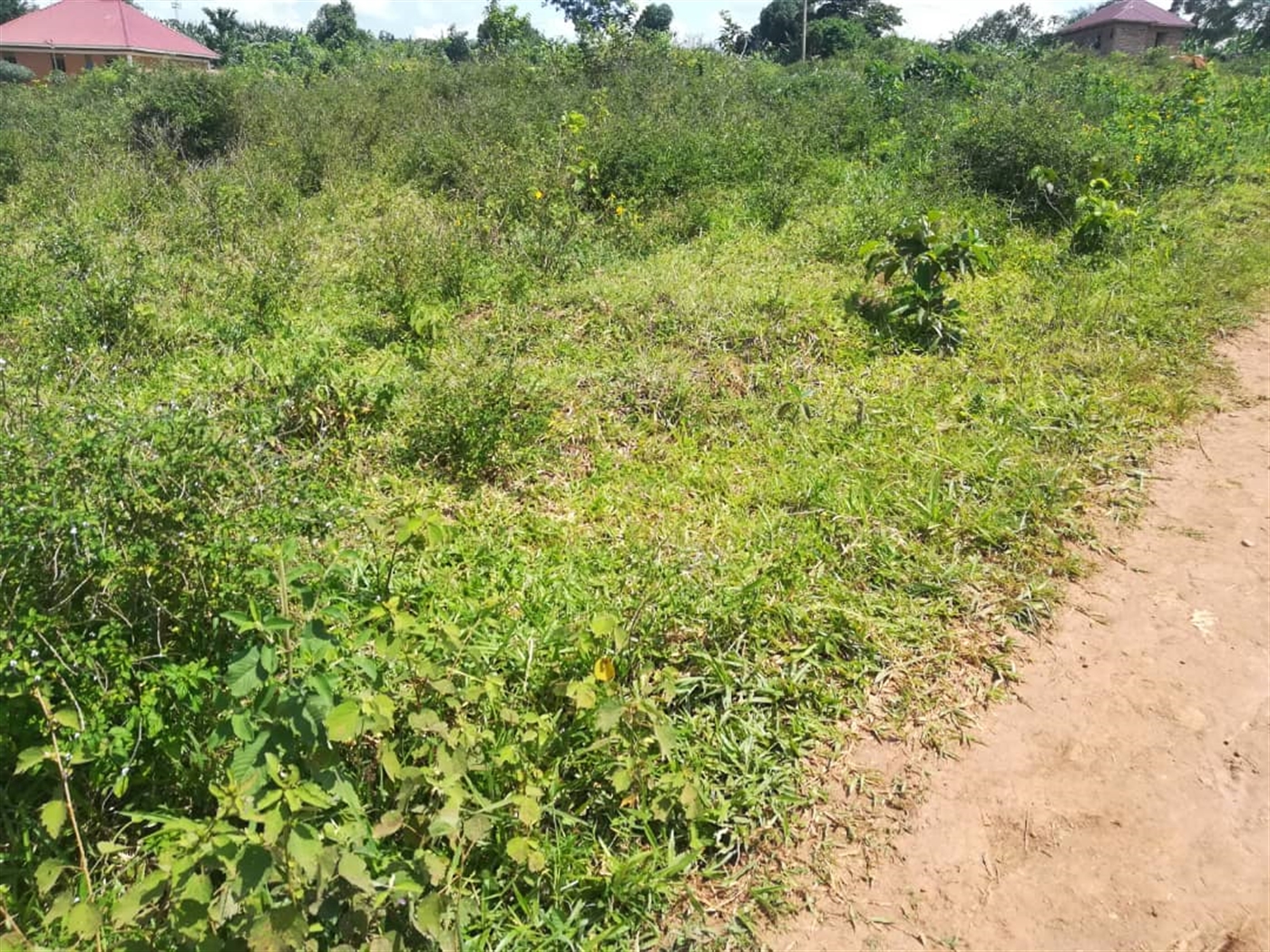 Residential Land for sale in Kabembe Mukono