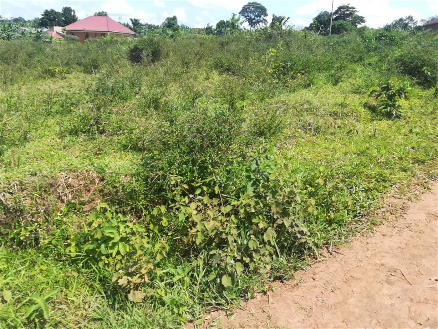 Residential Land for sale in Kabembe Mukono