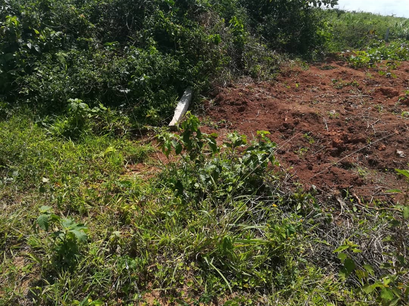 Residential Land for sale in Kabembe Mukono