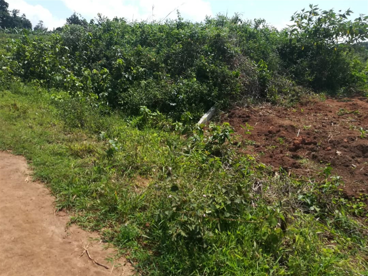 Residential Land for sale in Kabembe Mukono