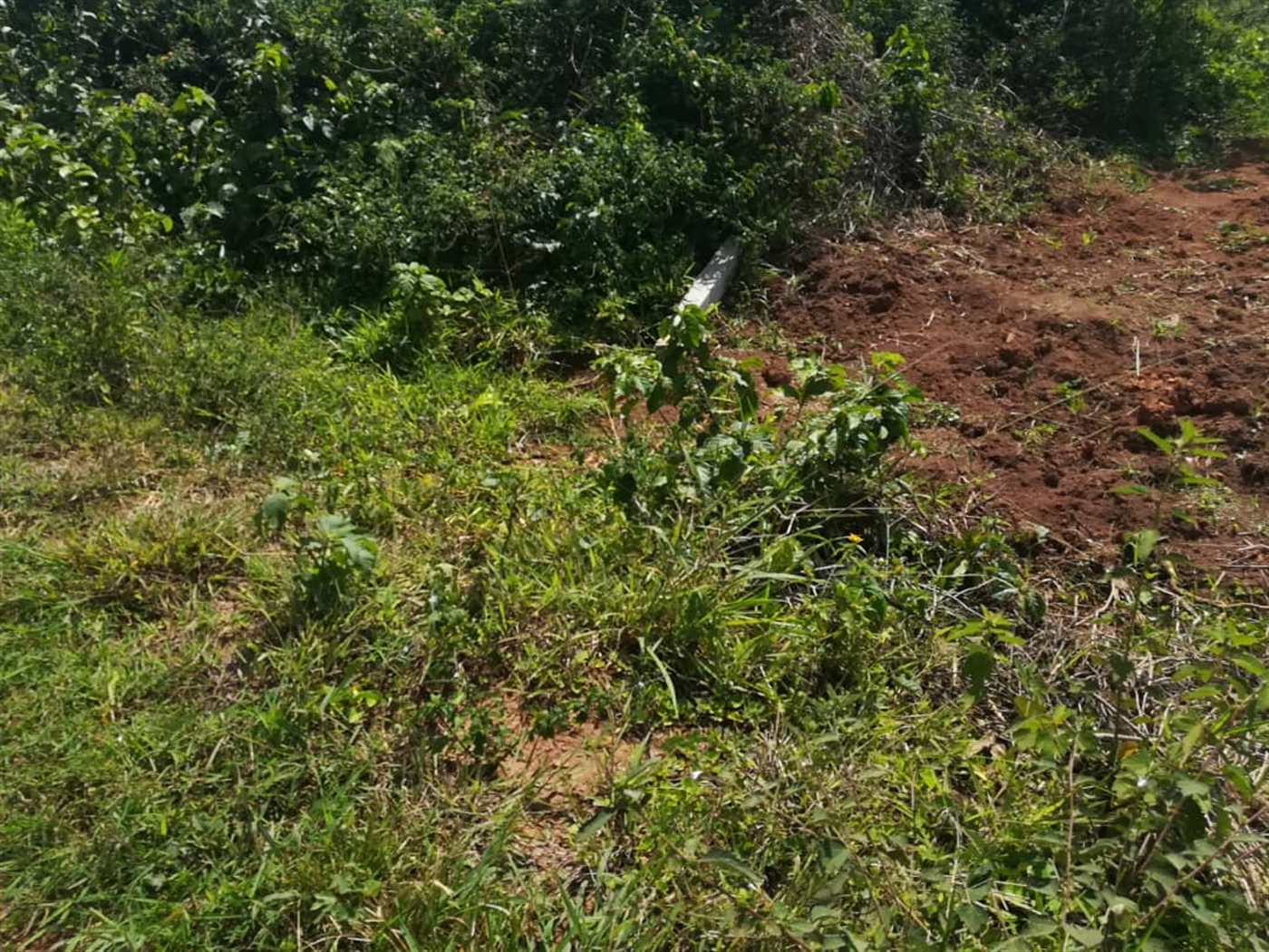 Residential Land for sale in Kabembe Mukono