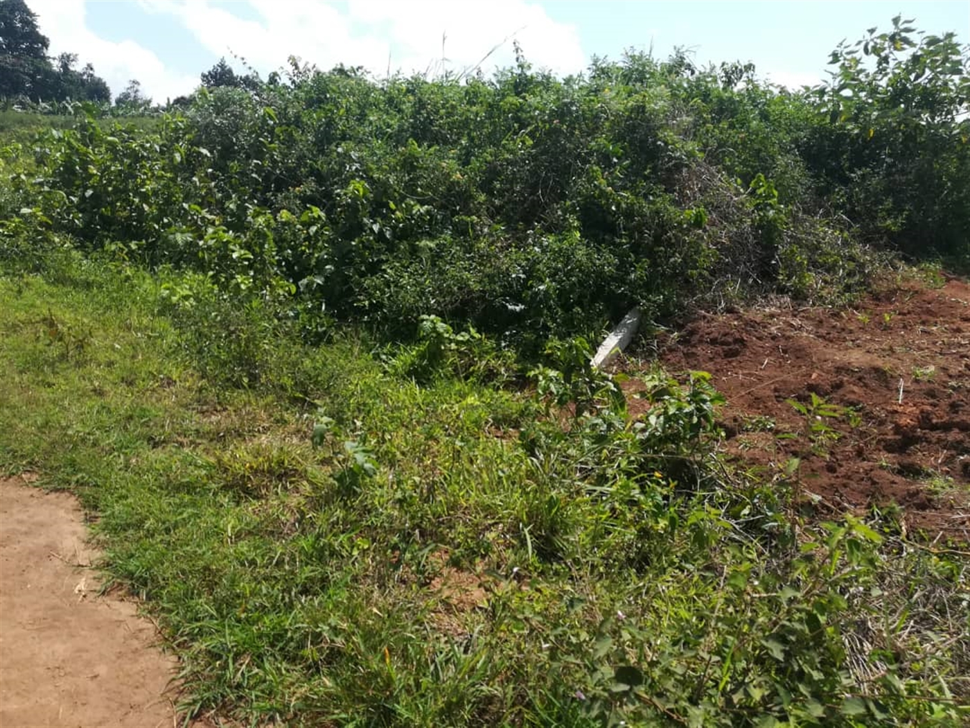 Residential Land for sale in Kabembe Mukono