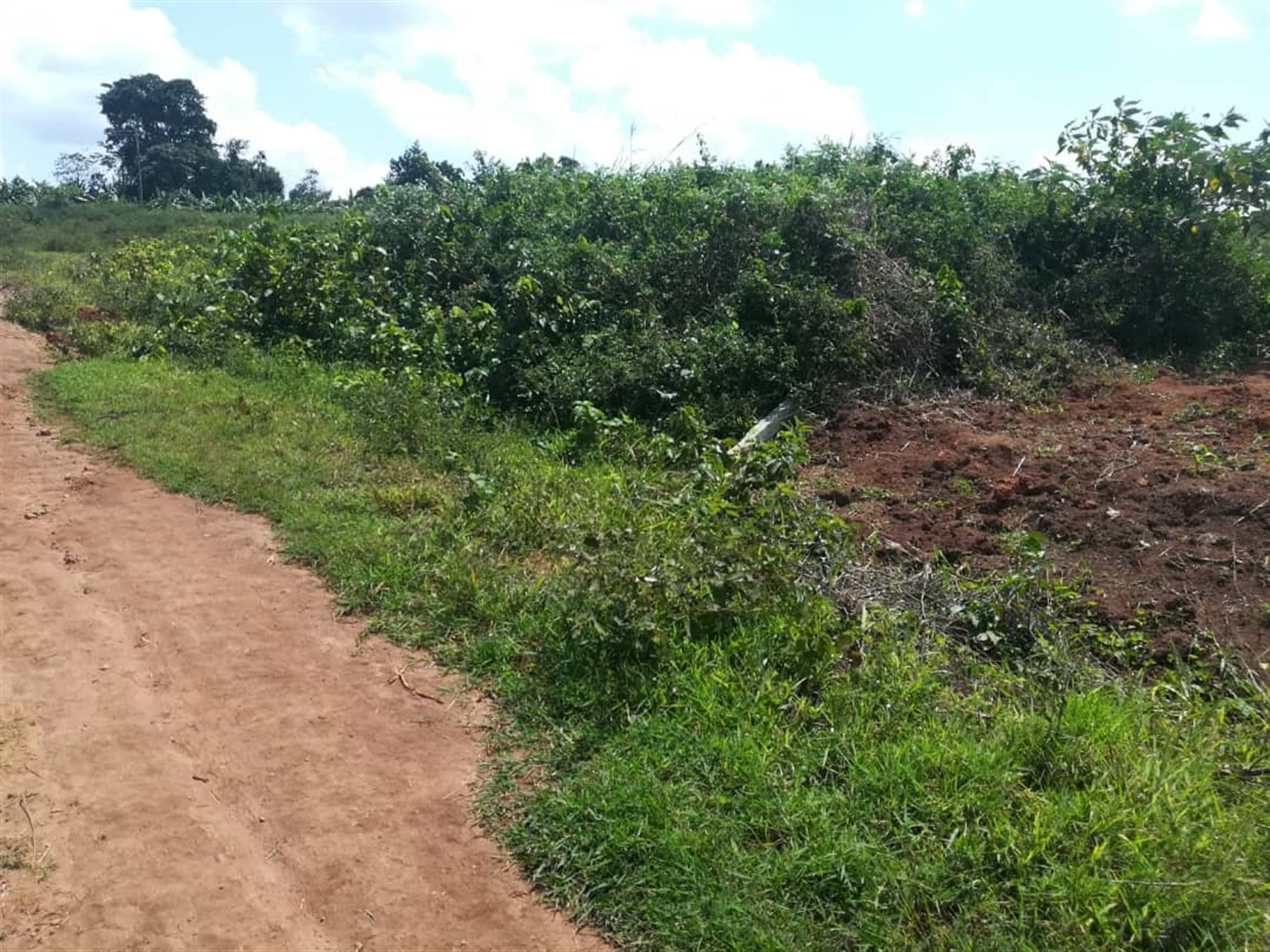 Residential Land for sale in Kabembe Mukono