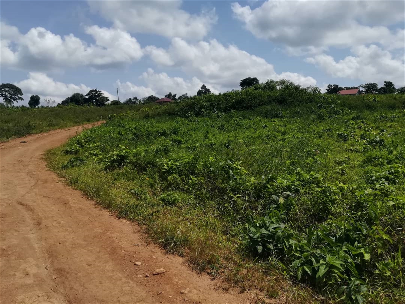 Residential Land for sale in Kabembe Mukono