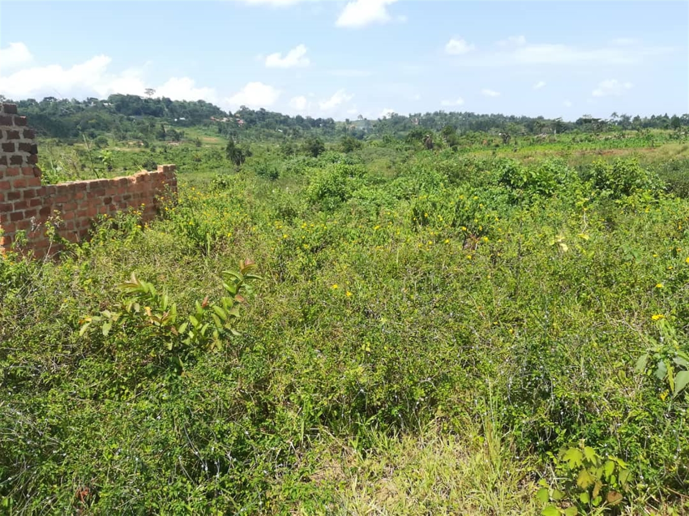 Residential Land for sale in Kabembe Mukono