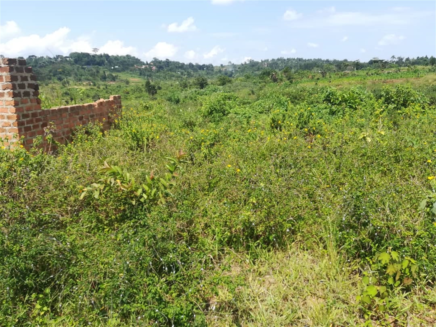 Residential Land for sale in Kabembe Mukono