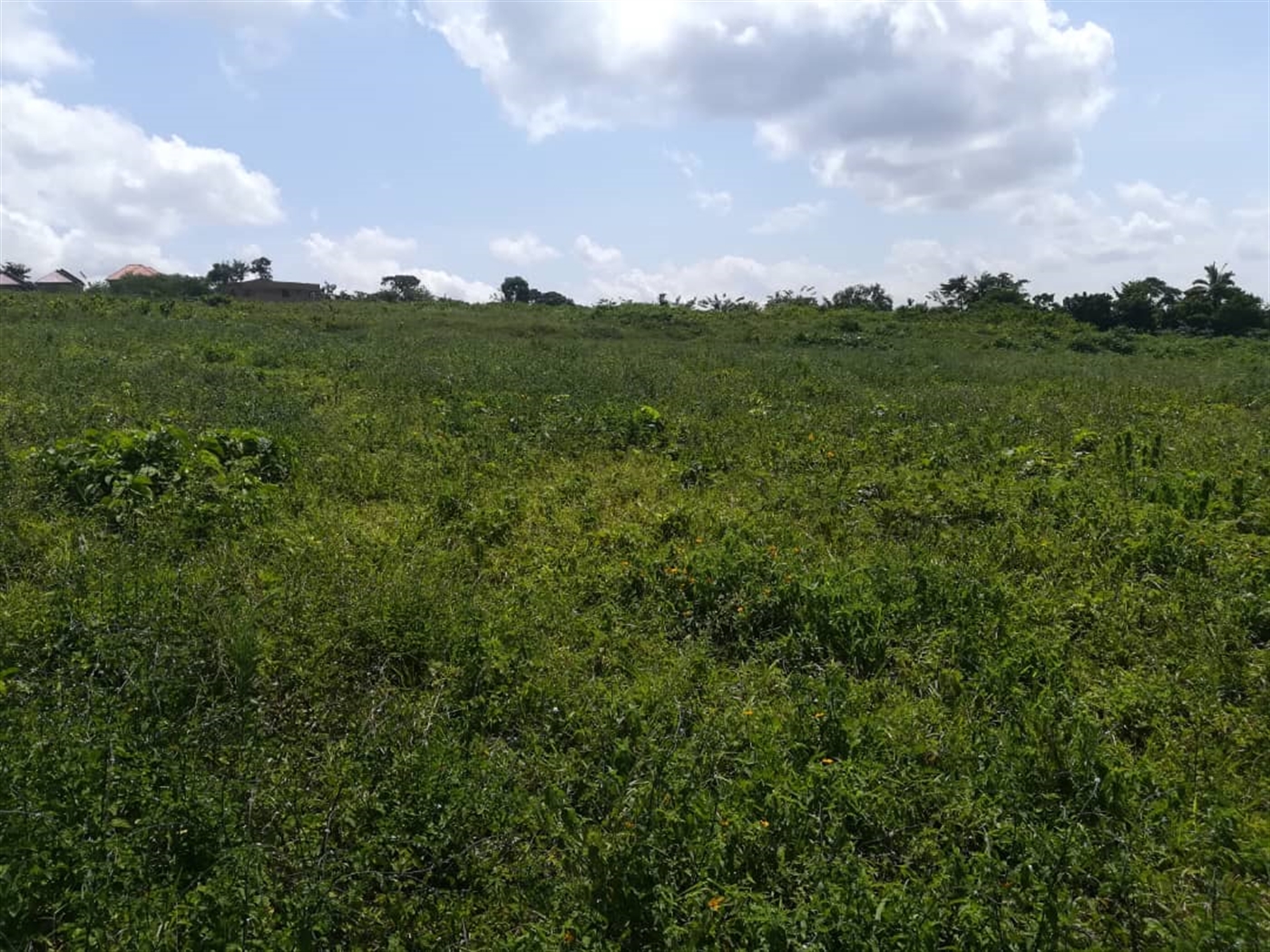 Residential Land for sale in Kabembe Mukono