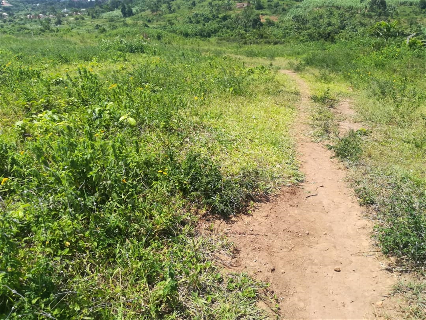 Residential Land for sale in Kabembe Mukono