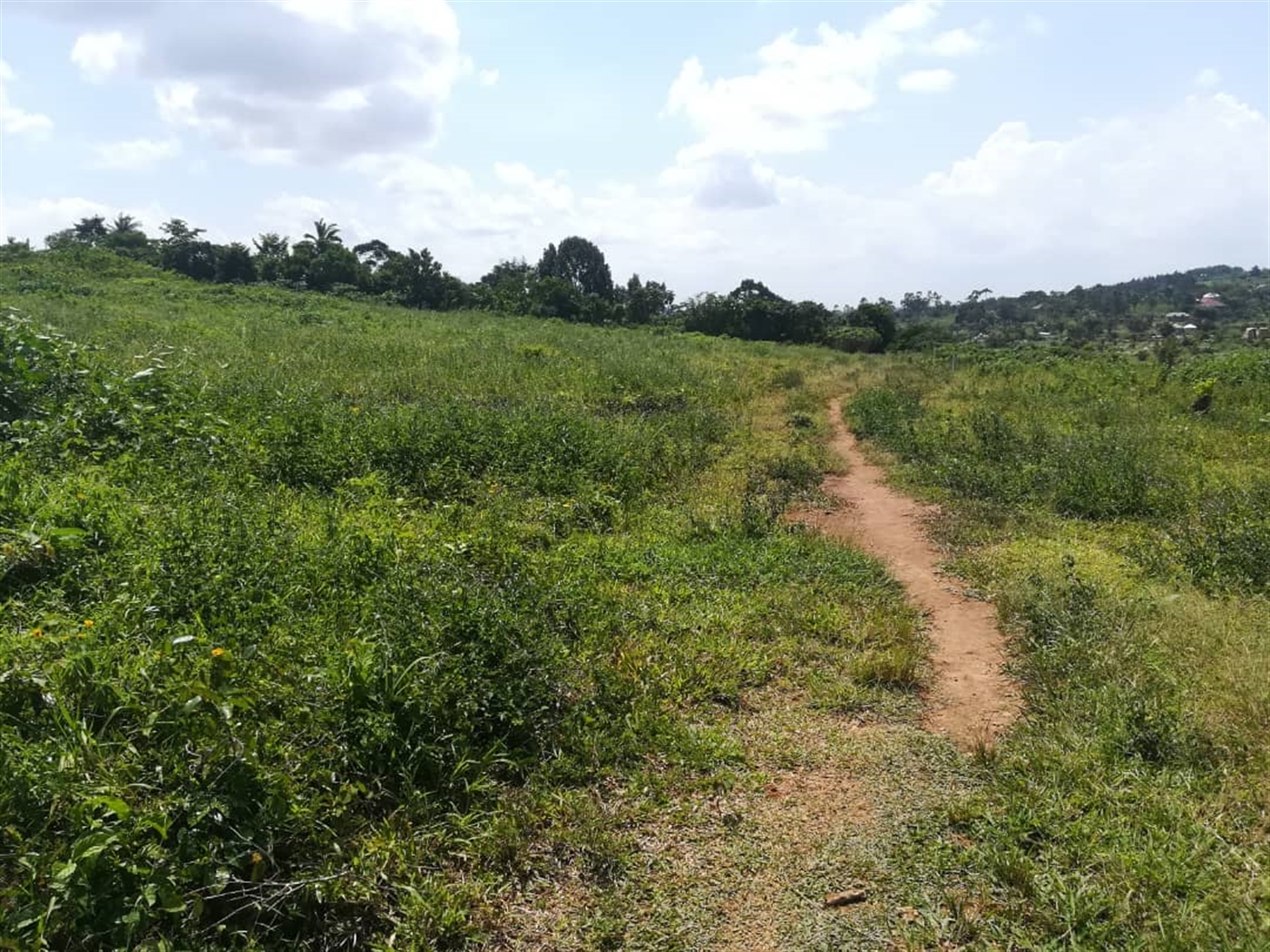 Residential Land for sale in Kabembe Mukono