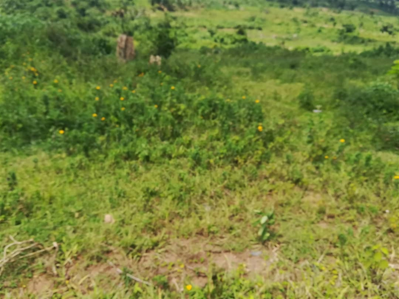 Residential Land for sale in Kabembe Mukono