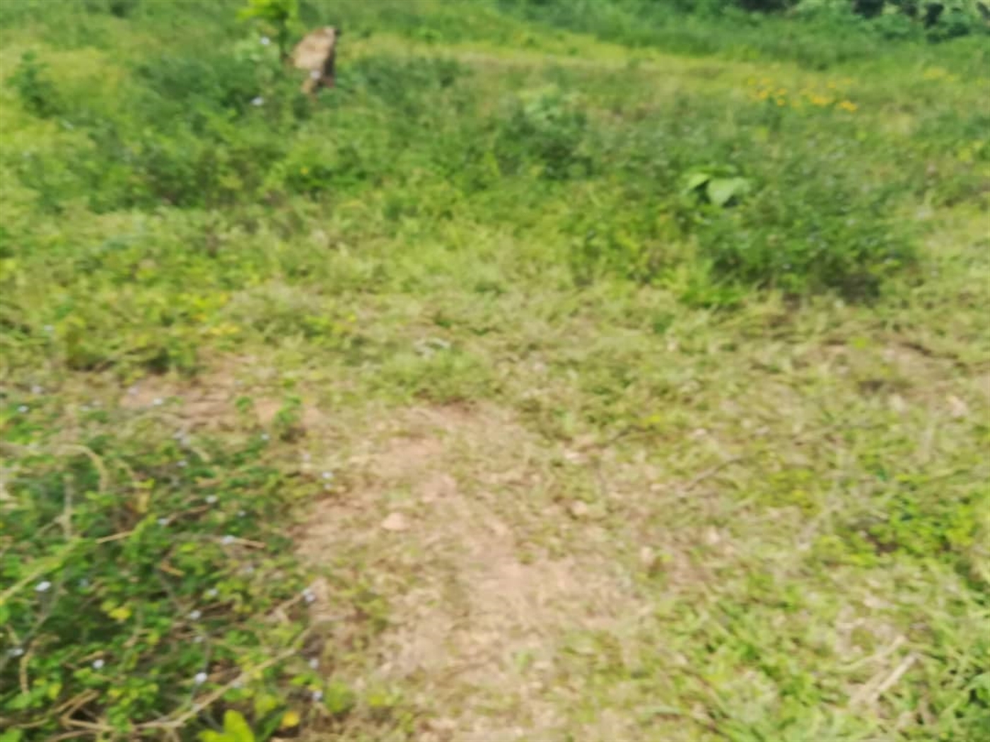 Residential Land for sale in Kabembe Mukono