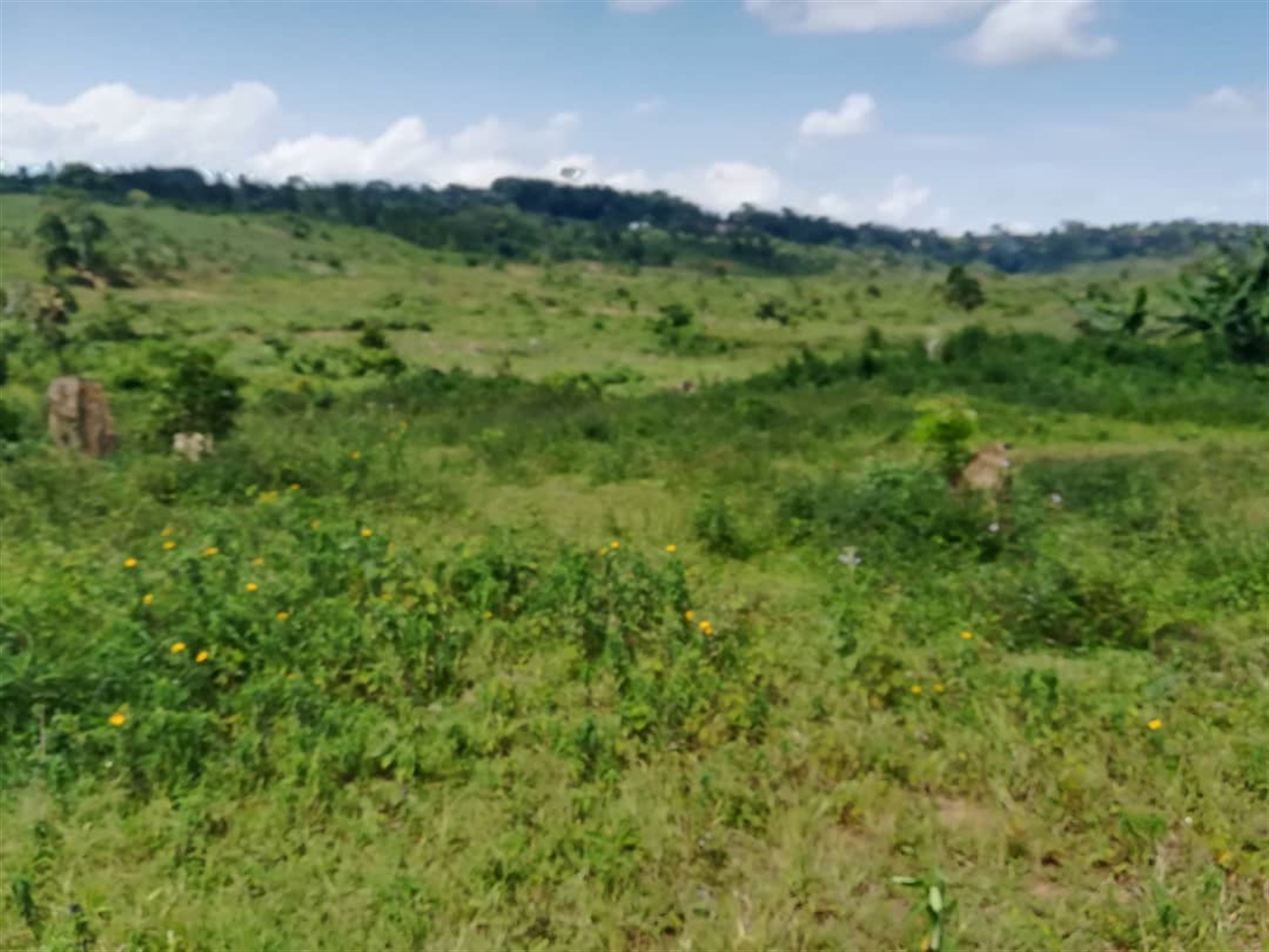 Residential Land for sale in Kabembe Mukono