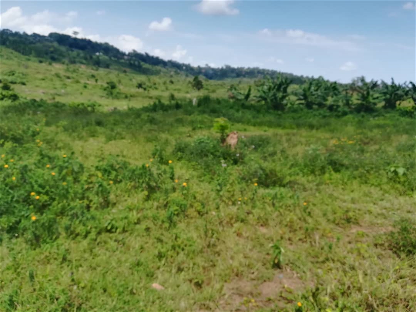 Residential Land for sale in Kabembe Mukono