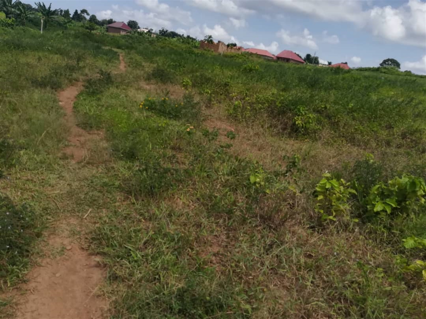 Residential Land for sale in Kabembe Mukono