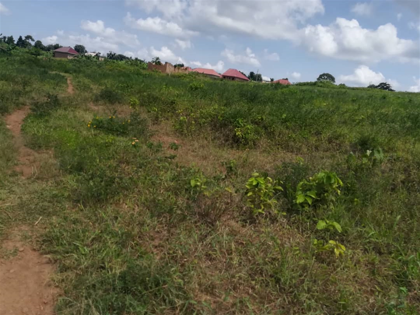 Residential Land for sale in Kabembe Mukono