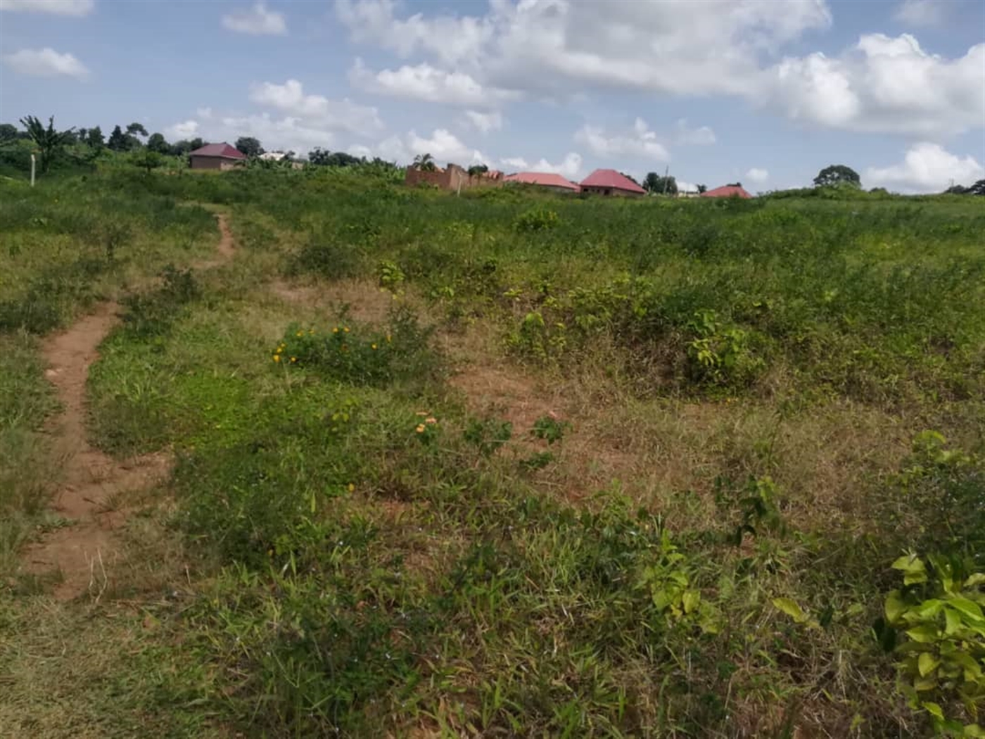 Residential Land for sale in Kabembe Mukono