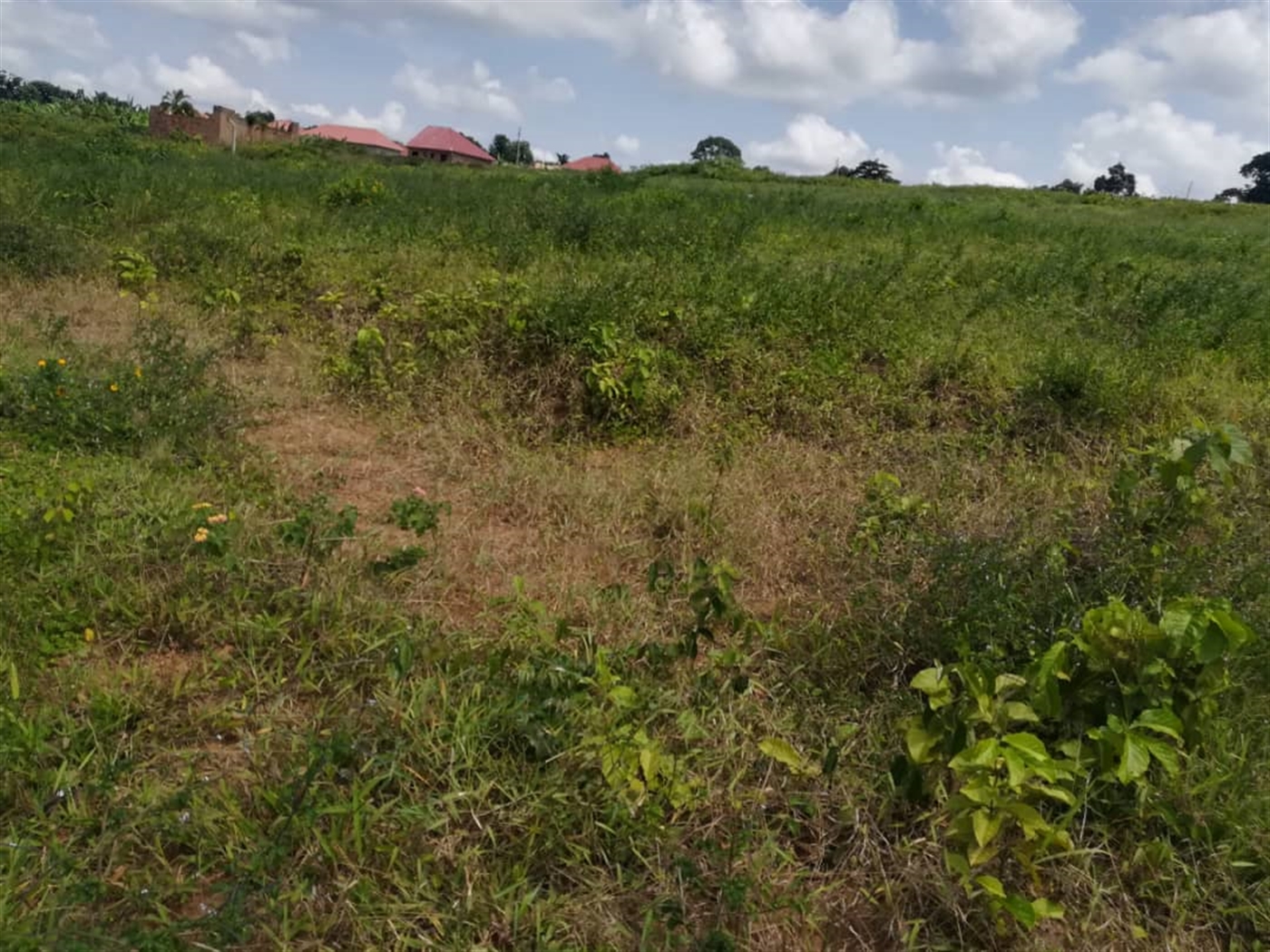 Residential Land for sale in Kabembe Mukono