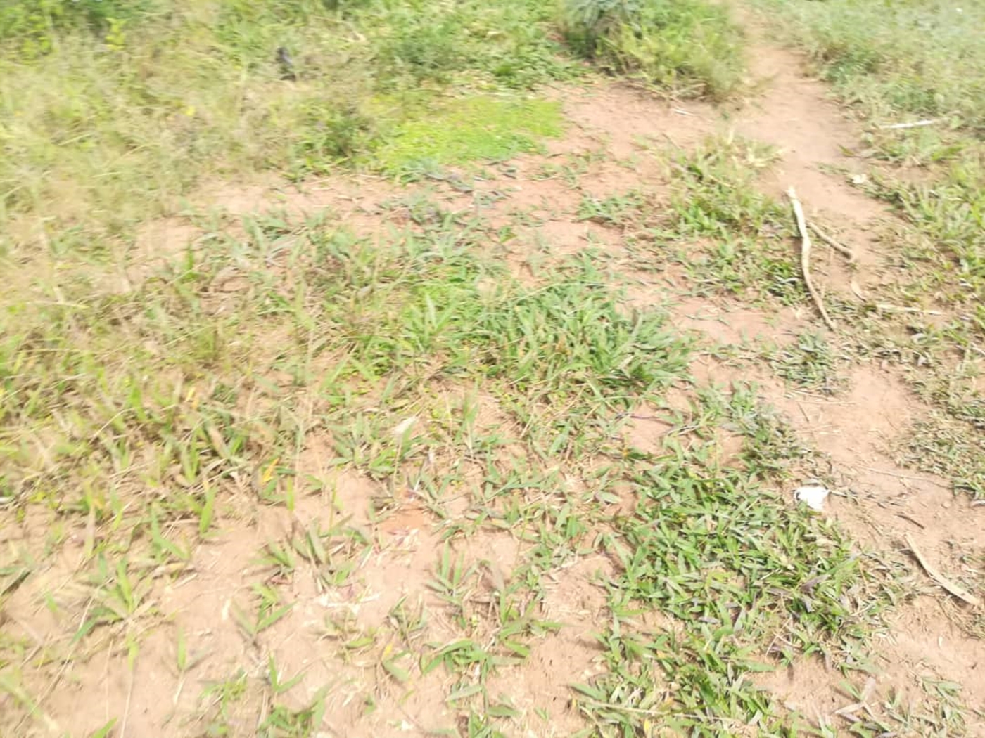 Residential Land for sale in Kabembe Mukono