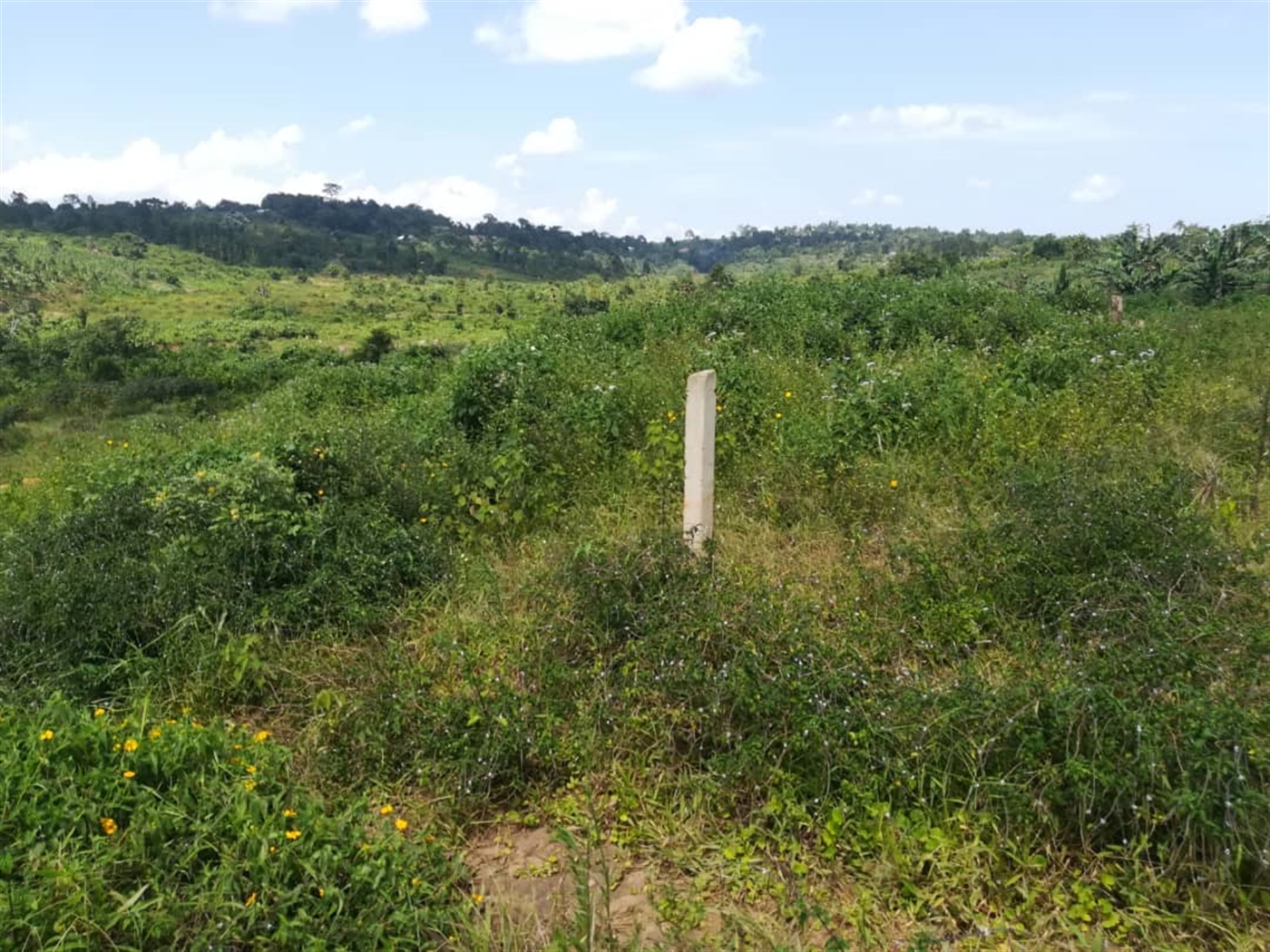 Residential Land for sale in Kabembe Mukono