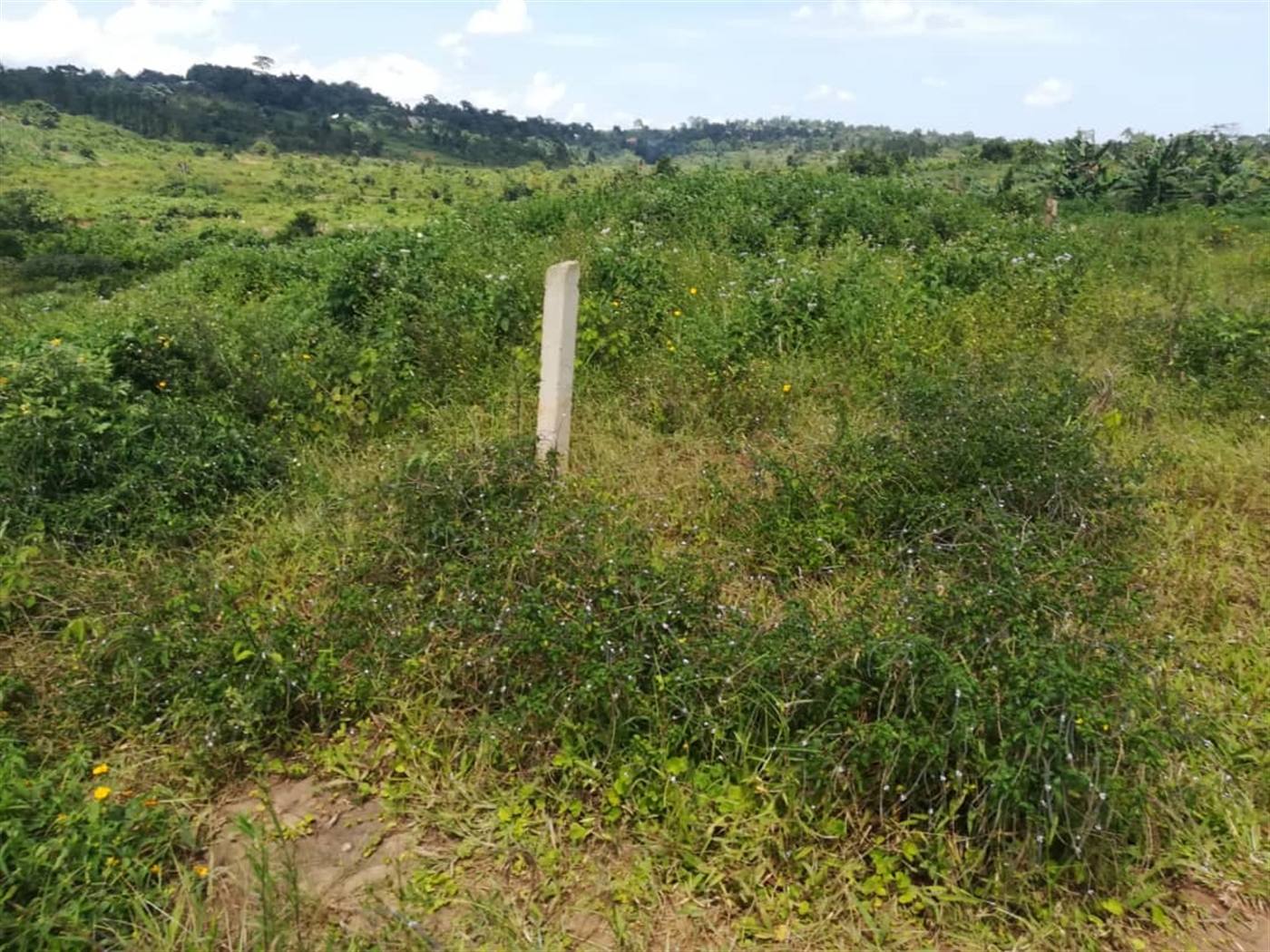 Residential Land for sale in Kabembe Mukono