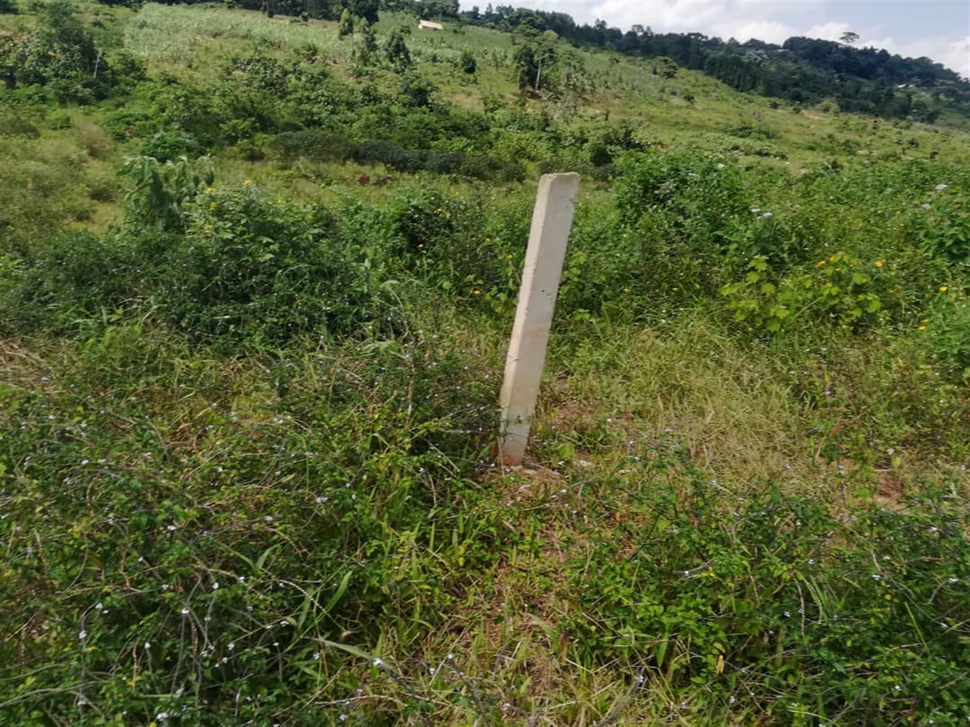 Residential Land for sale in Kabembe Mukono