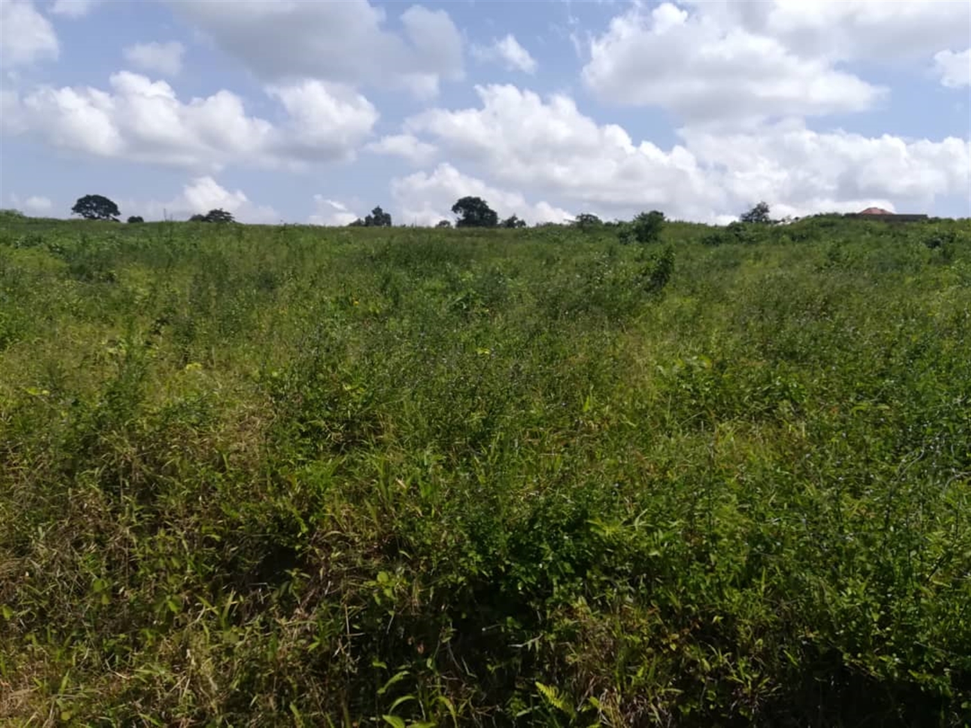 Residential Land for sale in Kabembe Mukono